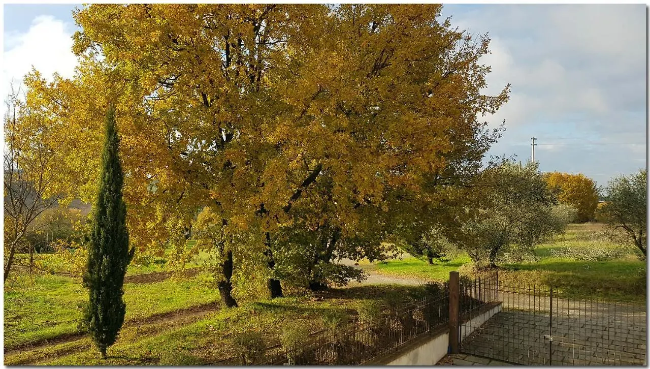 Villino Cortona - Holiday Home With Pool, Wifi And Ac, Based In Tuscany Villa